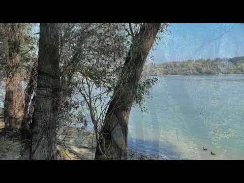 Aleksandra Vrebalov Danube Etude 2022 For Prepared Piano