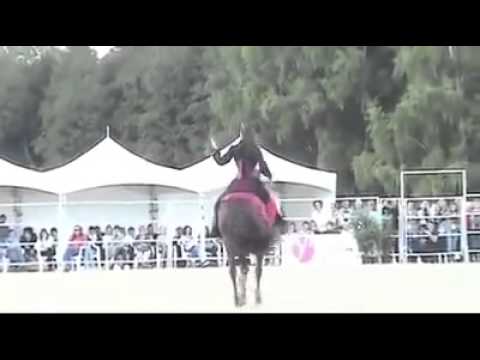 من اجمل ما رأت عيني