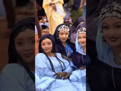 Festival De Dromadaire Bamako Mali Mali