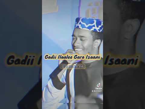 Ya Habibi መንዙማ ሙስሊም Menzuma Muazhabib Ethiopia ነሺዳ Ya Habibi መንዙማ ሙስሊም Menzuma Muazhabib Ethiopia ነሺዳ
