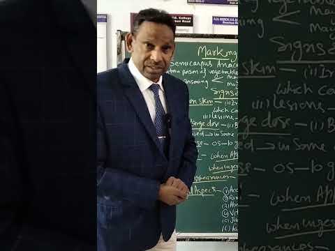 Marking Nut Poisoning Toxicology Explore Knowledge