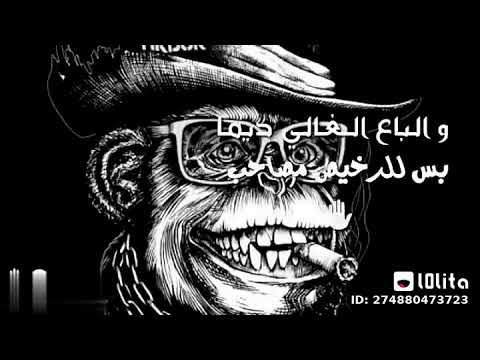 اغنيه الدنيا الدنيا شله من الصحاب زاب ثروت طارق الشيخ