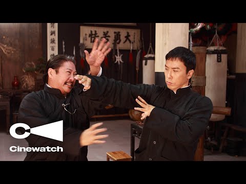 Ip Man 2 Initiation Fight