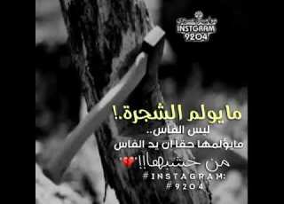 حلات واتس اب مايولم الشجره ليس الفاس