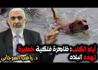  The Dog Days A Dangerous Astronomical Phenomenon Threatening The Country