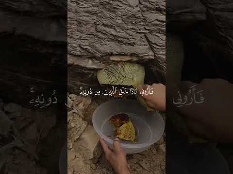 هذا خ لق الل ه ف أ روني ماذا خ ل ق ال ذين م ن دون ه سبحان الله ياسر الدوسري عسل هذا خ لق الل ه ف أ روني ماذا خ ل ق ال ذين م ن دون ه سبحان الله ياسر الدوسري عسل