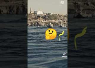 لسه هتحلى والله بكره مسيرها تروق