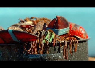 How To Have An Authentic Beach Clambake Weekends With Yankee