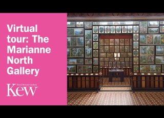 Virtual Tour The Marianne North Gallery