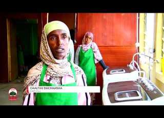 Hojiifi Ogummaa Kolleejjiin Poolii Teeknikaa Madda Ogummaafi Qaroominaati