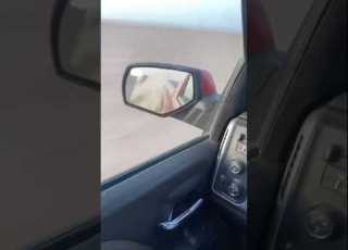  ابوحربه ينزل بر جمس