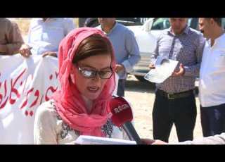 گردبونه وه ی ژینگه