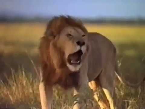 MBIU SDA CHOIR Kikulacho Official Gospel Video