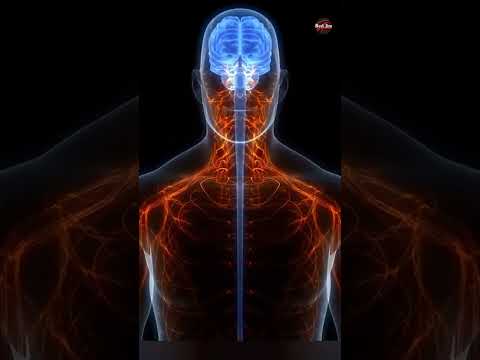 إدمان استنشاق البنزين وأضراره