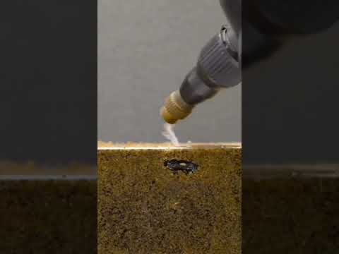 كيف ينمو النبات الاخضر