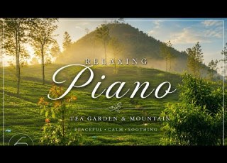 Relaxing Piano Music Calming Tea Garden Mountain Atmosphere