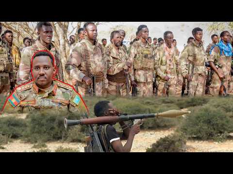 Radio Hiranweyns Mittagsnachrichten 12 03 2026