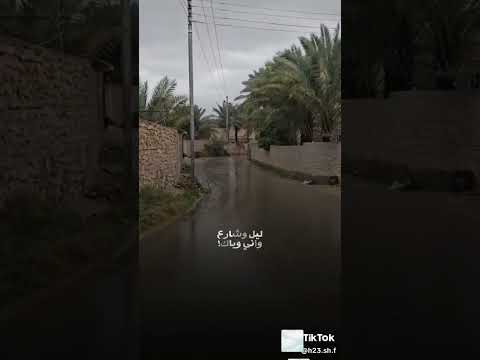 تركضلي تركضلي وفاتح ايدك