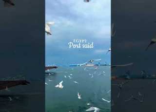  Where Africa Meets Asia Discover The Unique Charm Of Port Said And Port Fouad Egypt
