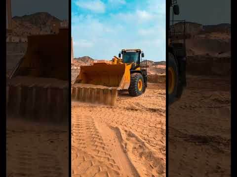 شيول Shorts Short