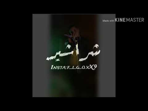 حالة واتس شكلكو شراشير بلعين صراصير والبرشام سايق فيكو