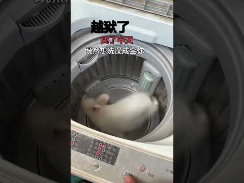 Crazy Mom Vs Kid S Bath Time A Battle Unfolds