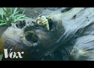 The Fascinating Process Of Human Decomposition