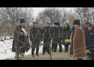 ТРИФОН ЗАРЕЗАН 2017