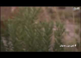  نمر بن عدوان اللقاء الأول مع وضحى