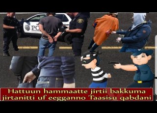Hattuun Hammaatte Jirtii Namni Kamuu Bakka Jirtanitti Of Eegganno Taasisa