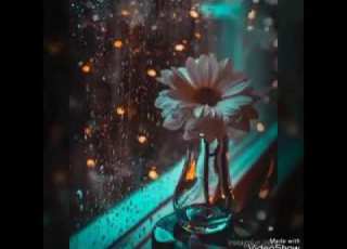  سعد البياتي