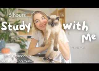  3 Hours Study With Me For My Last Final 50 10 Pomodoro Method No Music Chatty Breaks