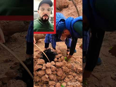 If Anyone Knows What These People Are Doing In The Countryside Please Tell Us Morocco