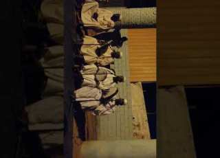 سيد الديباج والقوف قدورة كاكا