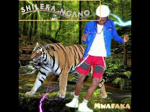 SHILEKA NGANO SONG MUAFAKA MAINA AUDIO OFFICIAL 360 2