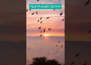  ሚሊዮኖች ይስሙት አርቲስት ንብረት ገላው እከ Youtubeshorts