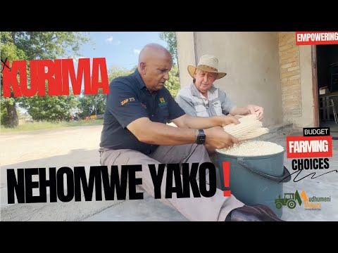 Zvakakoshera Kurima Zvinoenderana NeHomwe Yako