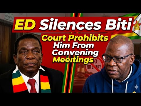 BREAKING Tendai Biti Granted Bail Court Imposes Tough Restrictions Meeting Ban LIVE
