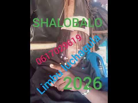 Limbu Luchagula FT Shalobalo Wa Pg 0617029619 12 1 2026 Limbu Luchagula FT Shalobalo Wa Pg 0617029619 12 1 2026