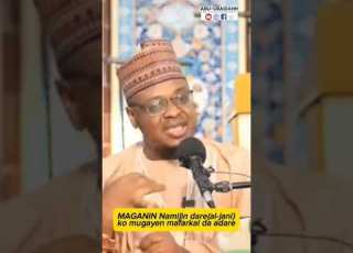  MAGANIN ALJANIN DARE NAMIJIN DARE Prof Isa Ali Pantami Abuubaidahh Aljani Mafarki