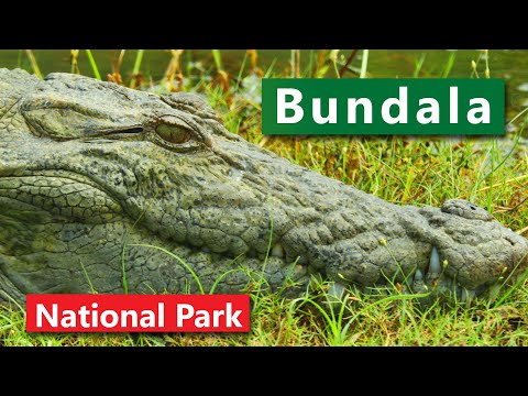 Bundala Nationalpark Sri Lanka