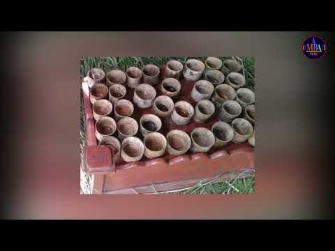 Serawitu Lema Coffee No Bunee ኮፊ ኖ ቡኔ New Ethiopian Music 2024 Official Video