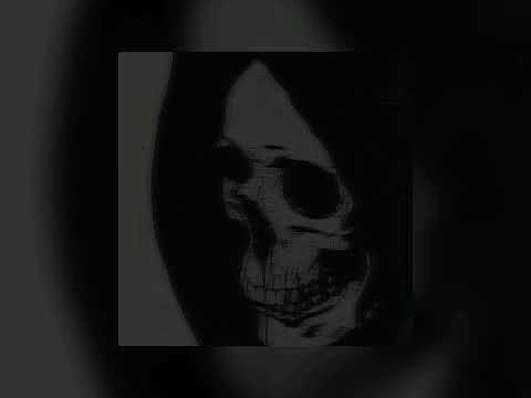 ᴍʀ ᴋɪᴛᴛʏ ᴀꜰᴛᴇʀ ᴅᴀʀᴋ ꜱʟᴏᴡᴇᴅ ʀᴇᴠᴇʀʙ