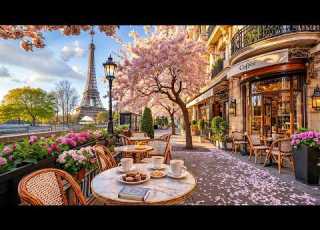  Cherry Blossom Morning Jazz In Paris Street Café Ambience Relaxing Jazz Music For Study Work