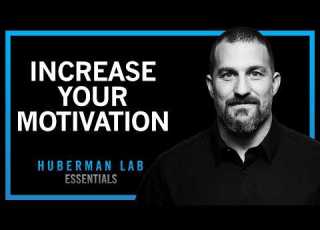 How To Increase Motivation Drive Huberman Lab Essentials