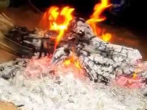 وزنا القملي والثور لشعب