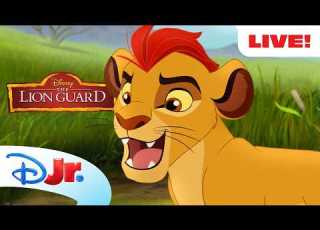 LIVE 24 7 The Lion Guard Season 1 Full Episodes Livestream Disney Jr