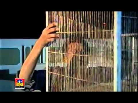 Dard Rukta Nahi Aik Pal B With Lyrics