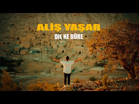Aliş Yaşar Dil Ne Dûre 2024 Official Klip