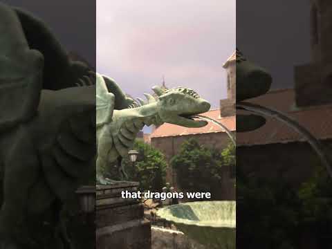 Proof Dragons Are Real